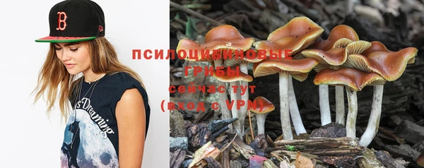 mdpv Алзамай